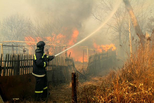 QIP Shot - Screen 1982.png